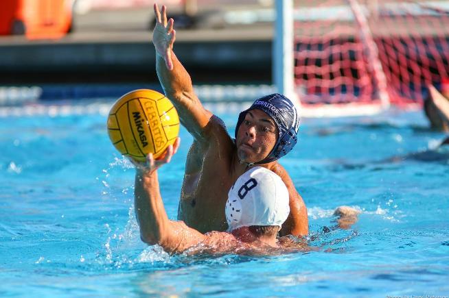 The Falcon men's water polo team will go into the conference tournament as the #2 seed