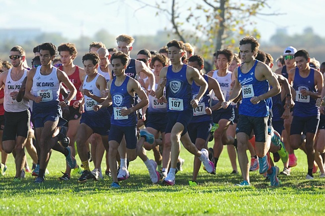 Falcons finish 13th at Bronco Invitational