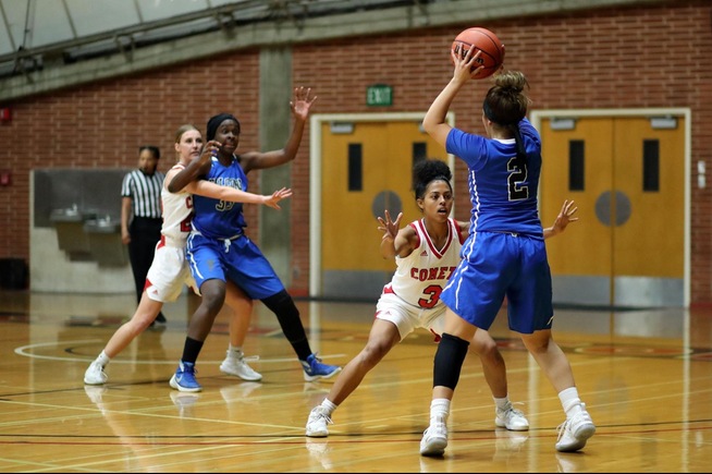 The Falcons were defeated by state power Palomar