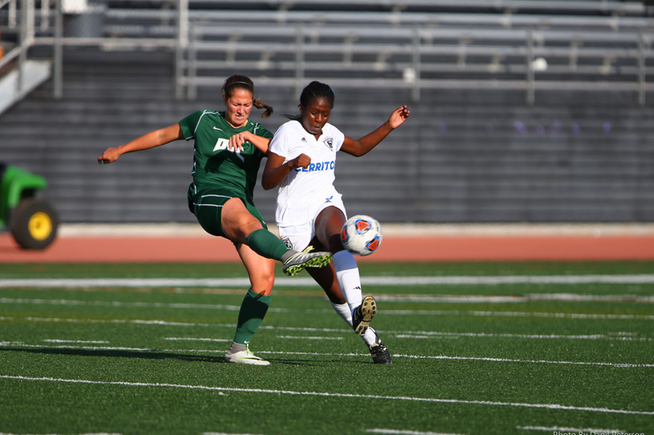 Duo of players named to All-America team
