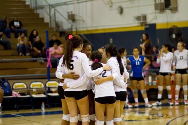 File Photo: The Falcons were defeated in straight sets by Pasadena City College.