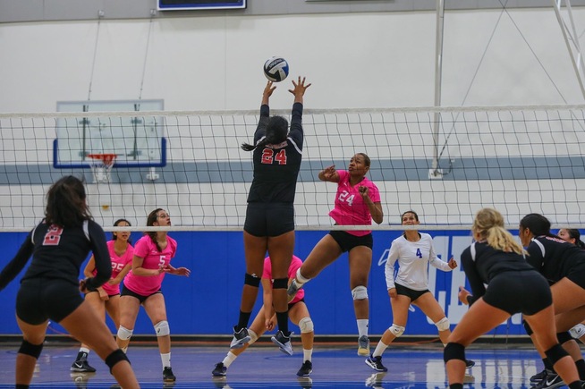 File Photo: Cecilia Burroughs and the Falcons were defeated by LA Harbor