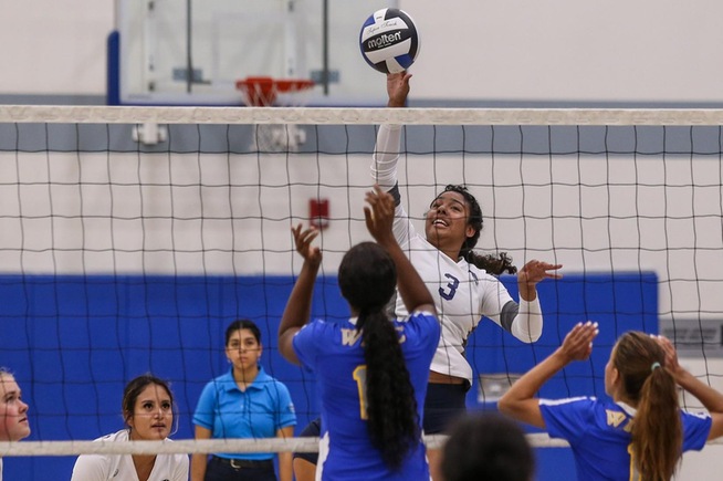 Sierra Hernandez-Hardy had a solid all-around match for the Falcons