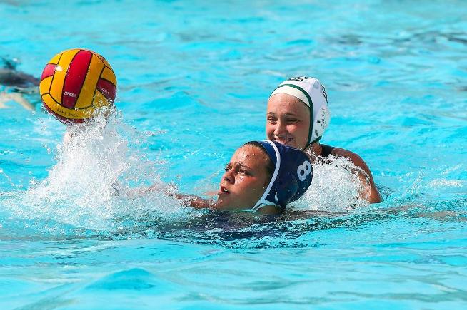 File Photo: Catie Tuning (8) finished the season with 94 goals, third most in school history