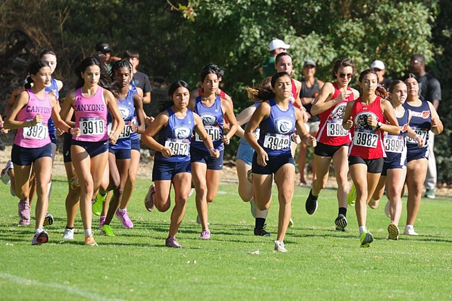 Falcons finish fourth in large field of teams